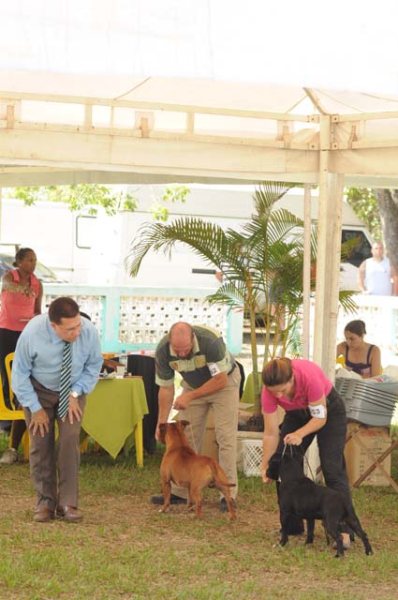 Clique sobre a foto para fechar